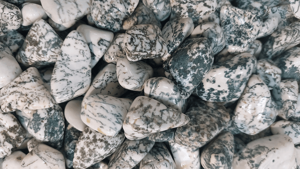  קריסטל אגת עץ טרי ליציבות ורוגע להתפתחות עקבית ויציבה בחיים