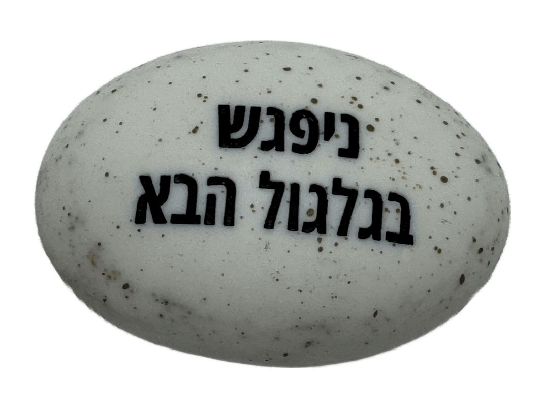  זיכרון להנצחה להנחה על הקבר ניפגש בגלגול הבא