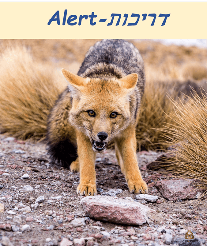  איתותיגוף קלפי תחושות חיבור לחכמת הגוף קלף דריכות