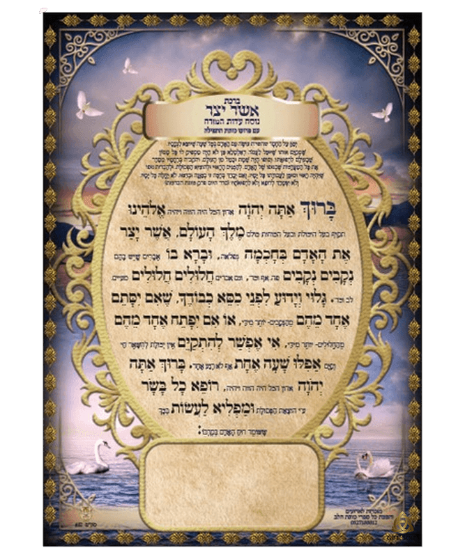  יצר דו צדדי אשכנז ספרד עדות המזרח גדול ציפורים צבעוני מזכרת לעילוי נשמה ואירועים פרטיים PJ00632