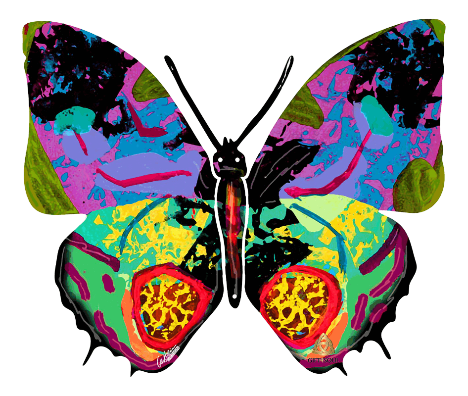 דוד גרשטיין David Gerstein דגם יצירה פרפר הדר צד 2 Hadar Butterfly