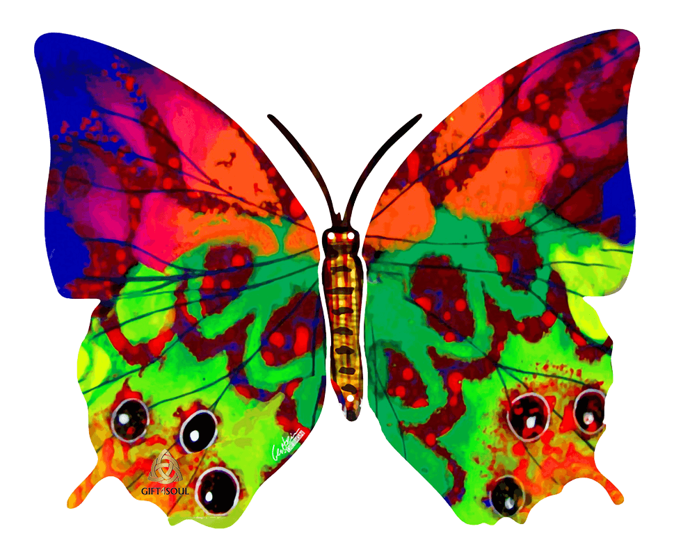 דוד גרשטיין David Gerstein דגם פרפר חוה Hava Butterfly