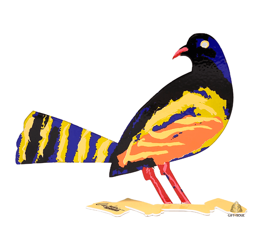  גרשטיין David Gerstein צד ב ציפור עכו Acre Bird