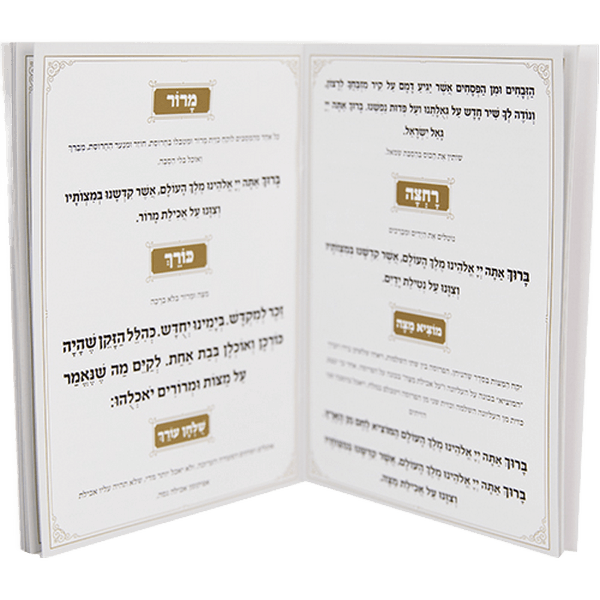 הגדה לפסח כריכה רכהמסגרת מוכסף 10 יחידות במארזAJ82530  1 