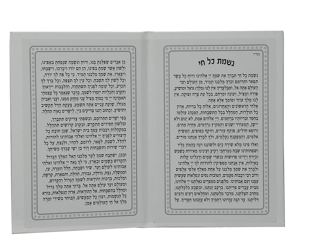  נשמת כל חי דמוי עור לבן עטורים כסוףYE0038AA