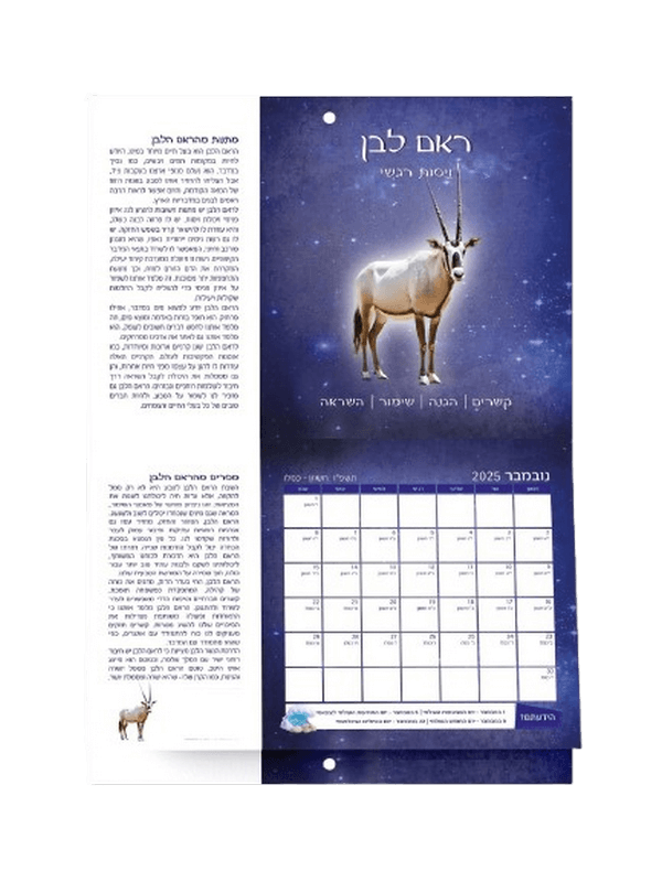  שנה 2025 2026 מרהיב מיוחד אנרגטי טוטם חיות הבר של ישראל