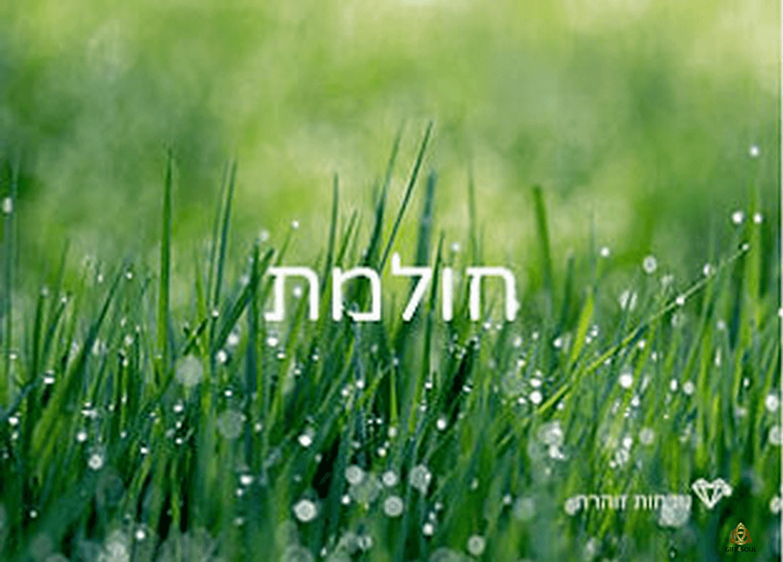 ערכת קלפי נוכחות זוהרת העצמה בגישת סטיילינג הוליסטי קלף חולמת