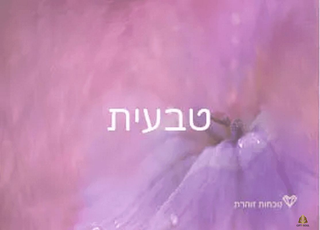  קלפי נוכחות זוהרת העצמה בגישת סטיילינג הוליסטי קלף טבעית