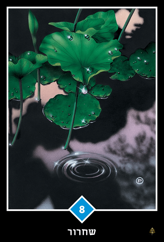  שחרור ערכת קלפי הטארוט אושו זן OSHO טארוט בעברית 