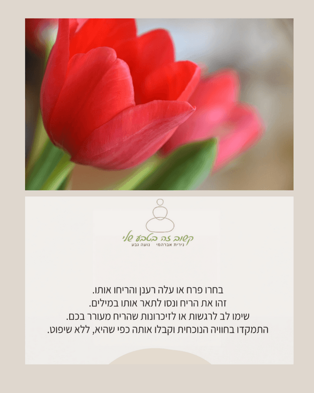  זה בטבע שלי קלפי מיינדפולנס לתרגול קשיבות במפגש עם הטבע נירית אברהמי נועה גבע קלף