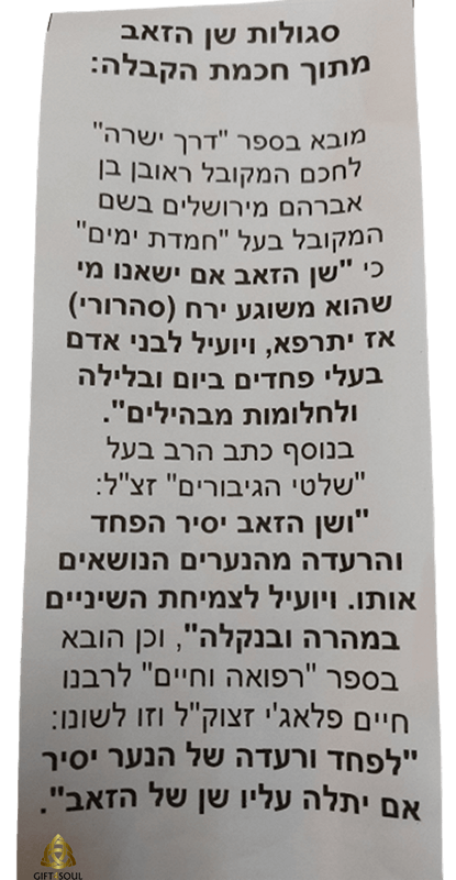  שן הזאב לשמירה והגנה סילוק פחדים ולצמיחת שיניים אצל תינוקות סגולה מחכמת הקבלה AR000372   2 