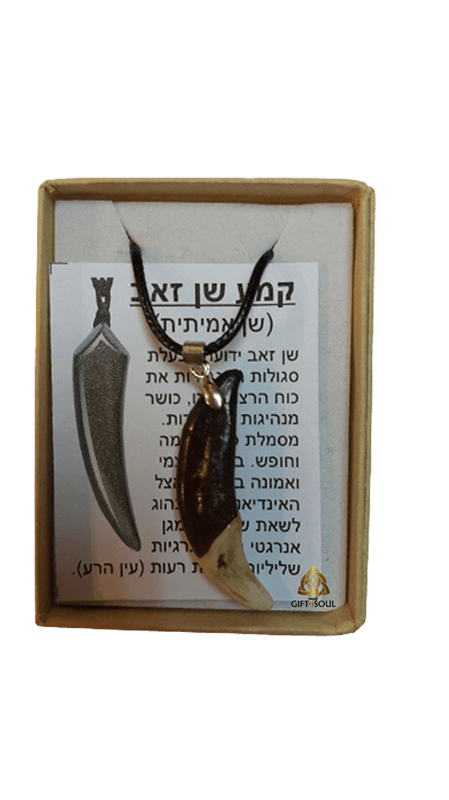  שן הזאב לשמירה והגנה סילוק פחדים ולצמיחת שיניים אצל תינוקות סגולה מחכמת הקבלה AR000372   1 