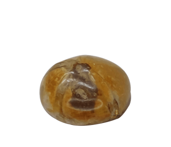 קריסטל אמונייט Ammonite