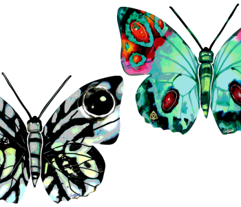 דוד גרשטיין David Gerstein דגם יצירה פרפר נעמי Naomi Butterfly