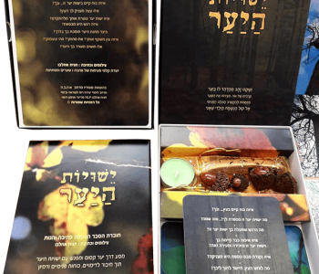 קלפי ישויות היער חגית אוזלבו ערכת קלפים ישויות היער דמיון השראה וטבע הבריאה 