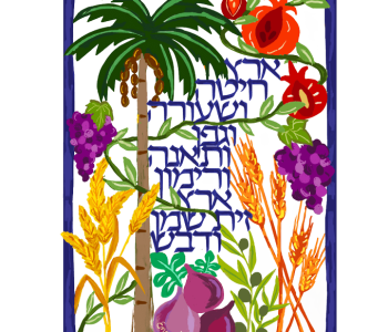 מתלה קיר מתכת צבעוני לבית לעסק ארץ חיטה ושעורה