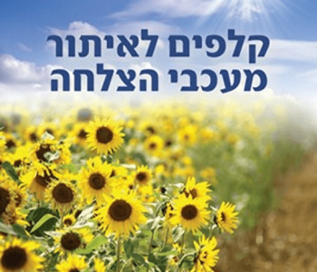 ערכת קלפים איתור מעכבי הצלחה זיהוי איתור טיפול פריצה הצלחה בחיים דוקטור דיתי קליין