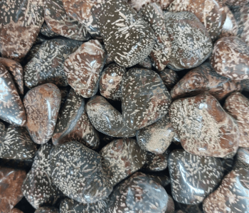 אבן קריסטל גספר סטאר אבן כוכבים מעניקה אנרגיה חזקה שמחזקת את הביטחון השייכות והיציבות בחיים