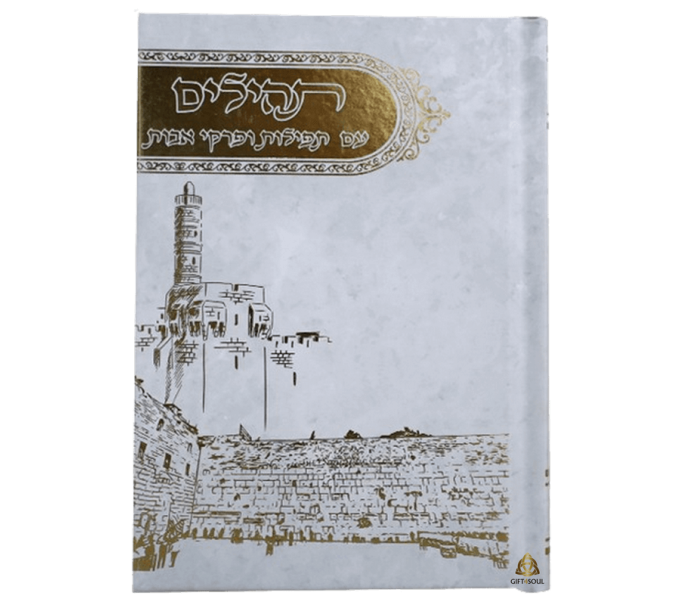 תהילים 10 תהילים בינת הלב למינציה עם תפילות ופרקי אבות מצויר מגדל דוד