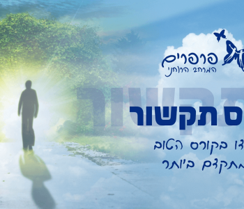 קורס תקשור לימוד תקשור מקצועי קורס ללימוד תקשור פרטני קבוצתי