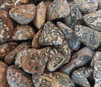 לאופרד סקין אבן קריסטל לריפוי רגשי ובעיות עור להתמודדות עם שינויים וחיבור לגלגול קודם