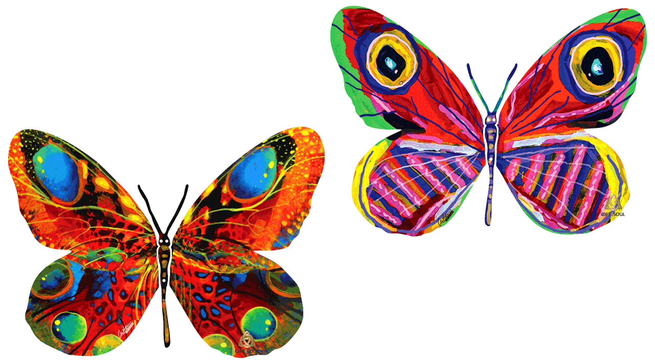 דוד גרשטיין David Gerstein דגם יצירה פרפר אלונה Alona Butterfly