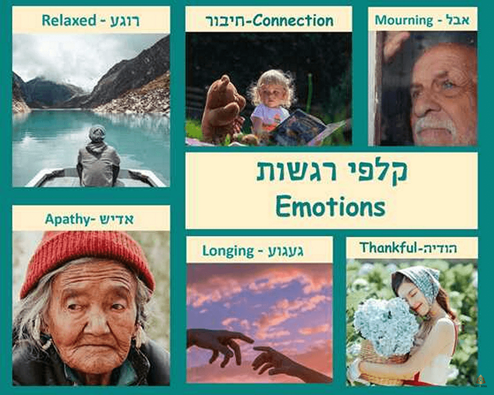 ערכת קלפי רגשות חיבור לנפש קבלת תובנות שחרור רגשי תחושתי הדס אריאל פז וזוהר גונן