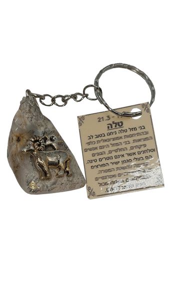 טלה 