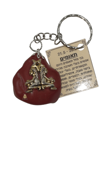 תאומים