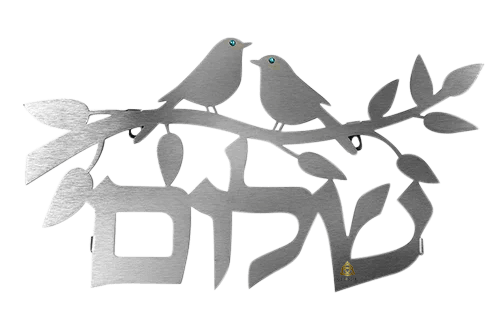 נירוסטה
