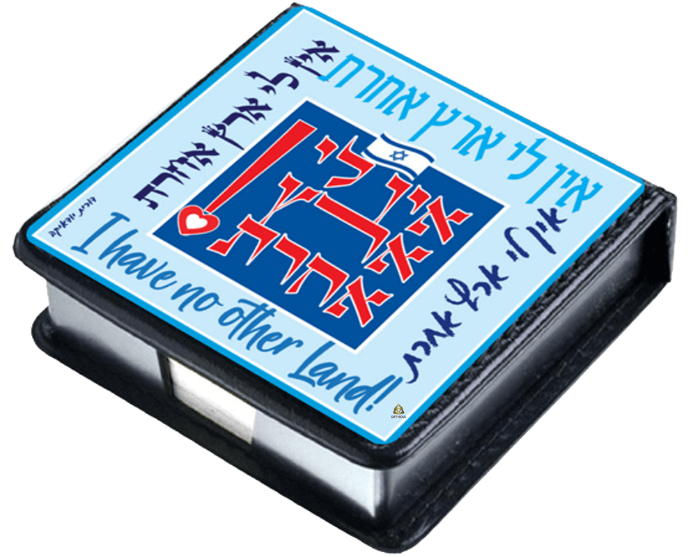 אין לי ארץ אחרת
