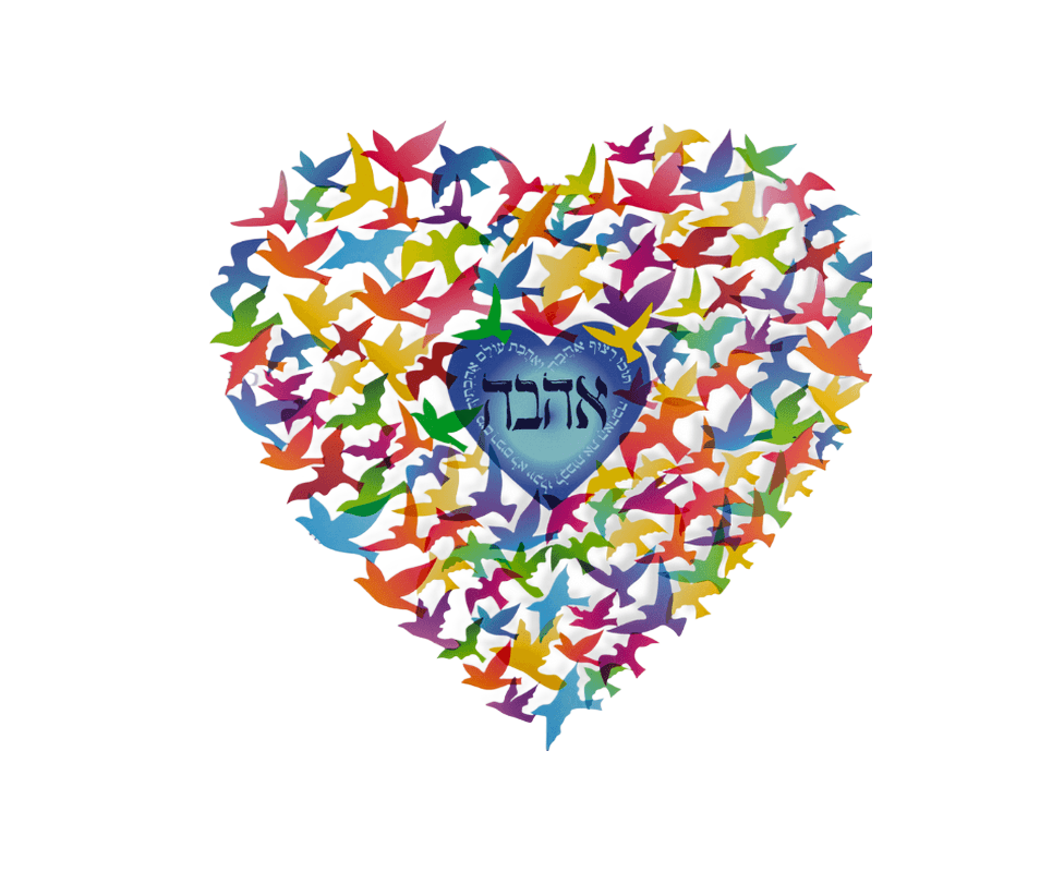 ציפורים מרחפות בינוני