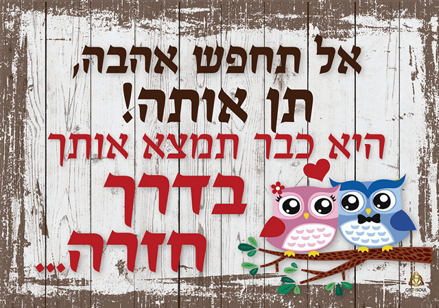 אל תחפש אהבה 