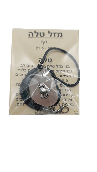 טלה