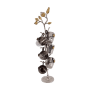 EMSEAZZ1 סט 6 כוסיות מחזיק רימונים
