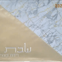 LL30033 כיסוי חלה דמוי עור מחולק זהב