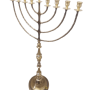 נחשות חנוכייה מעוטרת גמבו גבוהה 90 סמ 