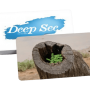  Deep see קלפים טיפוליים קלפי מודעות ריקי שטוסל  קלפים