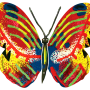  גרשטיין David Gerstein דגם יצירה פרפר ציונה Tsiona Butterfly1