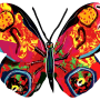  גרשטיין David Gerstein דגם יצירה פרפר ציונה Tsiona Butterfly2