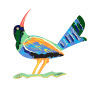  גרשטיין David Gerstein דגם ציפור כנרת Kineret Bird