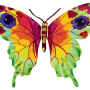  גרשטיין David Gerstein יצירה פרפר ורד Vered Butterfly