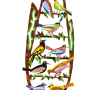  גרשטיין David Gerstein צד ב ברוש Cypress Tree