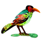  גרשטיין David Gerstein צד ב ציפור חושבת Thinking Bird