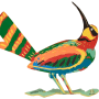  גרשטיין David Gerstein צד ב ציפור כנרת Kineret Bird