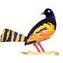 גרשטיין David Gerstein צד ב ציפור עכו Acre Bird