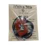 ותליון מזל אריה עם קריסטל ובמרכז דגם מזל מוכסף AR000512LI1