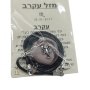  ותליון מזל עקרב עם קריסטל ובמרכז דגם מזל מוכסף AR000512SC1