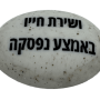  זיכרון להנצחה להנחה על הקבר ושירת חייו באמצע נפסקה
