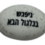  זיכרון להנצחה להנחה על הקבר ניפגש בגלגול הבא